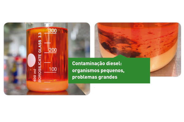 Check-up Media LIQUI MOLY contamination