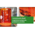 Check-up Media LIQUI MOLY Diesel contamination