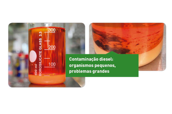 Check-up Media LIQUI MOLY Diesel contamination