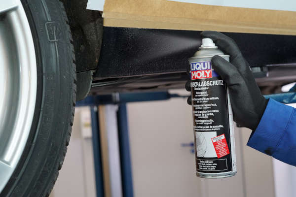 Check-up Media LIQUI MOLY stone guard